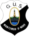 蒙特莫尔